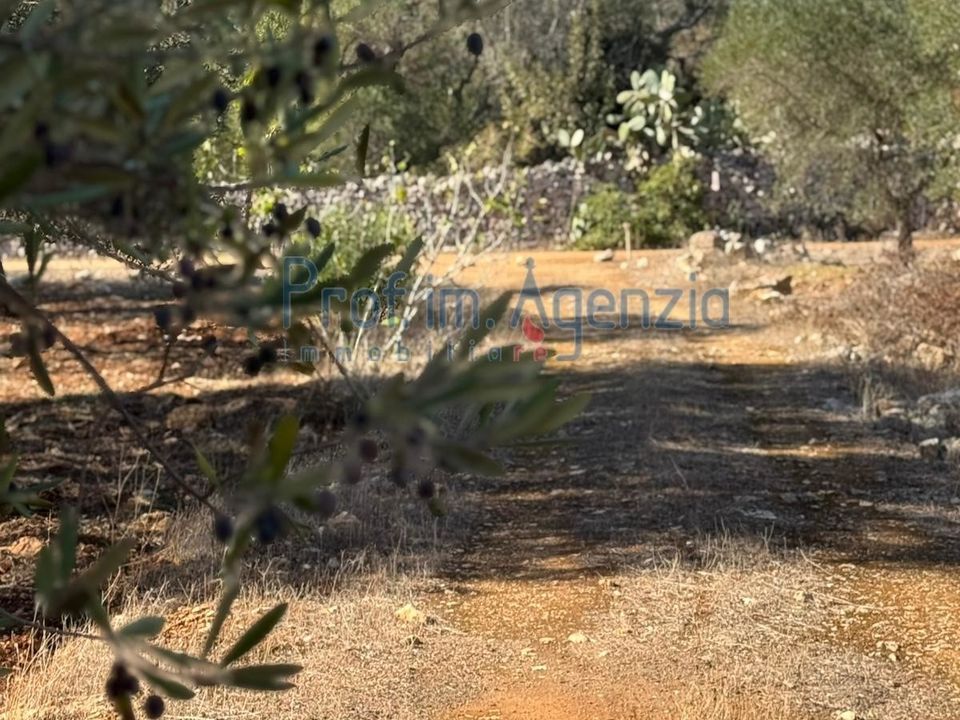 Helårsgrund i Carovigno, Brindisi - foto 1